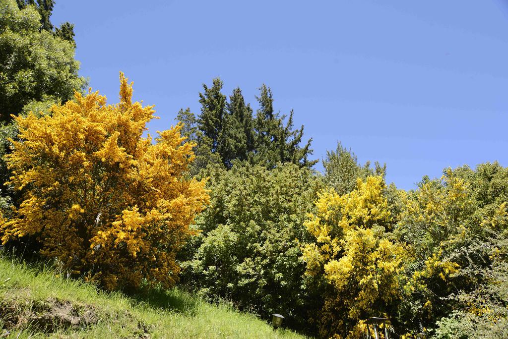 Matices Patagonicos * San Carlos de Bariloche
